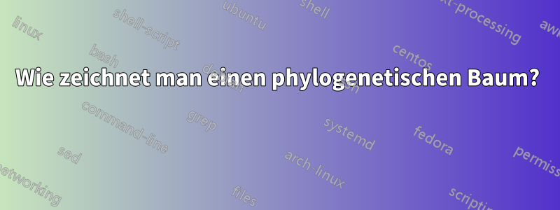 Wie zeichnet man einen phylogenetischen Baum? 