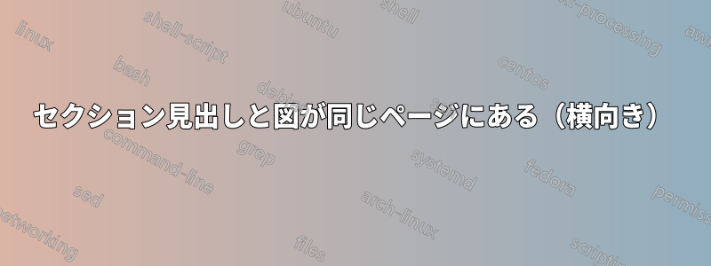 セクション見出しと図が同じページにある（横向き）