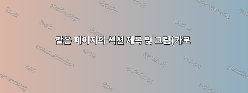 같은 페이지의 섹션 제목 및 그림(가로)