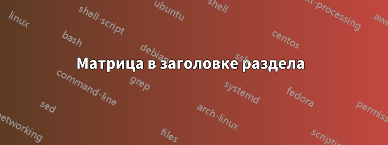 Матрица в заголовке раздела