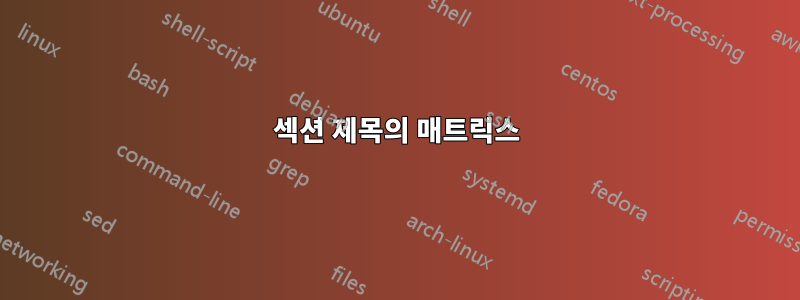 섹션 제목의 매트릭스