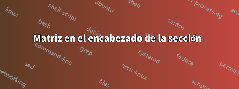 Matriz en el encabezado de la sección 