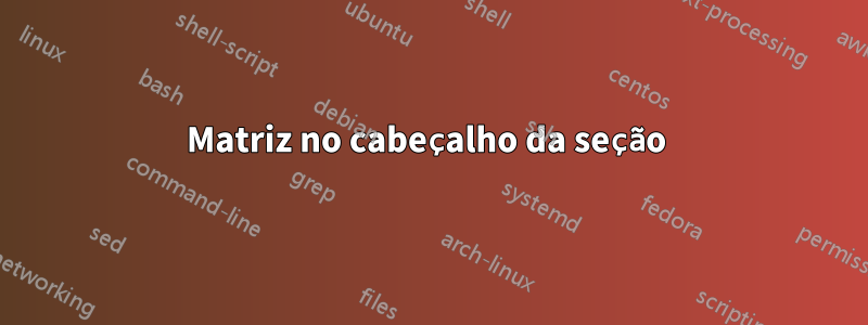 Matriz no cabeçalho da seção 