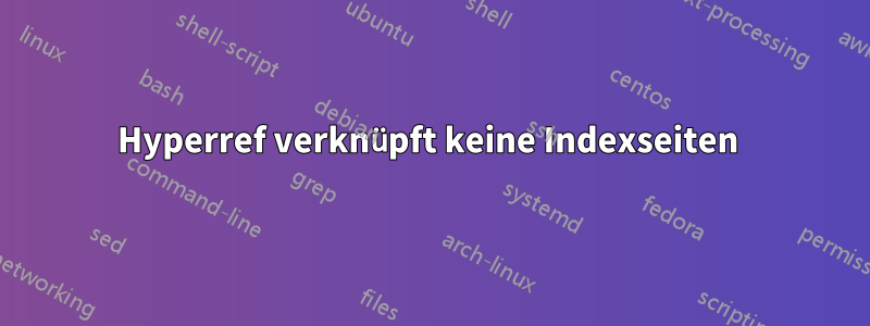 Hyperref verknüpft keine Indexseiten