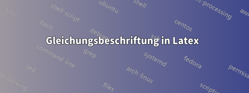 Gleichungsbeschriftung in Latex 