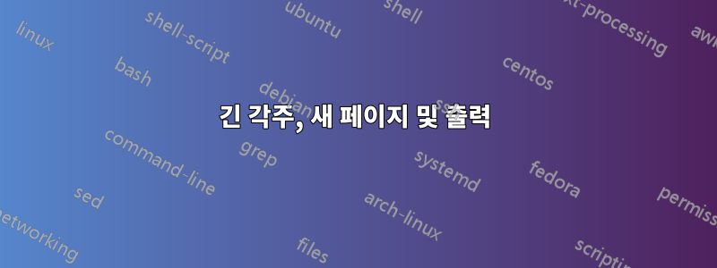 긴 각주, 새 페이지 및 출력