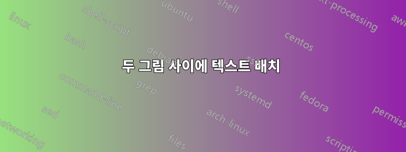 두 그림 사이에 텍스트 배치
