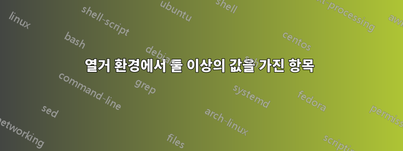 열거 환경에서 둘 이상의 값을 가진 항목