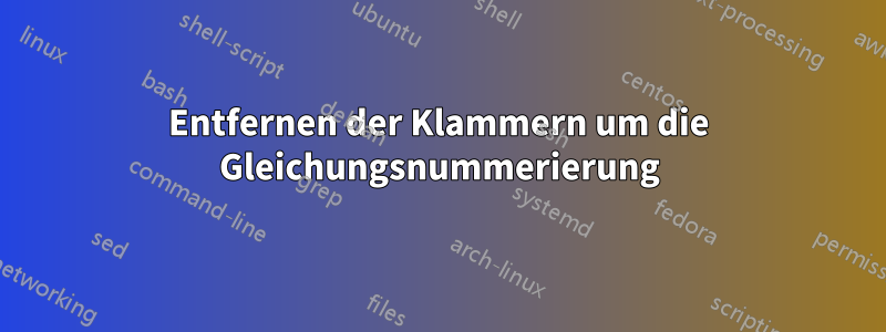 Entfernen der Klammern um die Gleichungsnummerierung