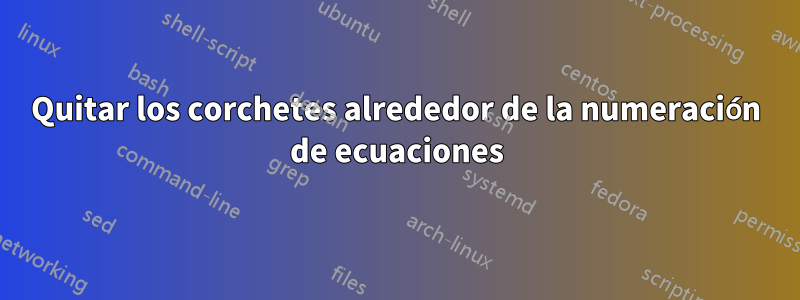 Quitar los corchetes alrededor de la numeración de ecuaciones