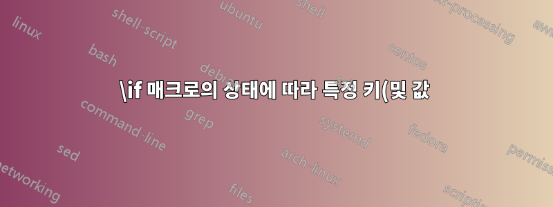 \if 매크로의 상태에 따라 특정 키(및 값) 설정