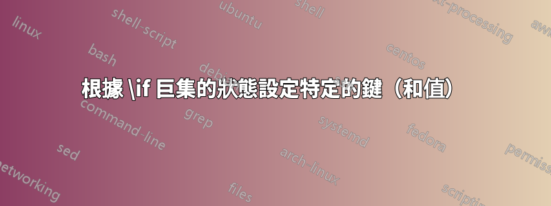 根據 \if 巨集的狀態設定特定的鍵（和值）