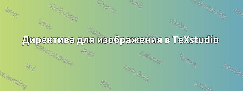 Директива для изображения в TeXstudio