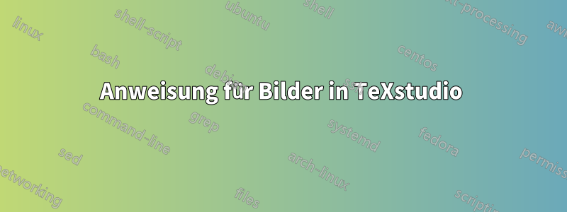 Anweisung für Bilder in TeXstudio