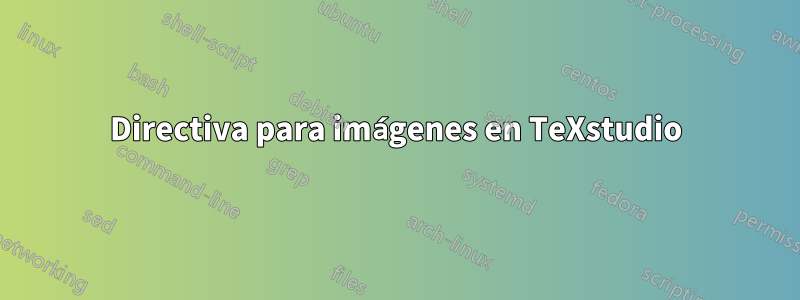 Directiva para imágenes en TeXstudio