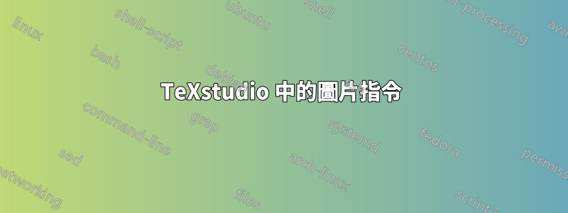 TeXstudio 中的圖片指令