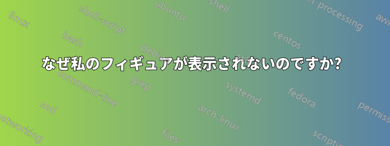 なぜ私のフィギュアが表示されないのですか? 