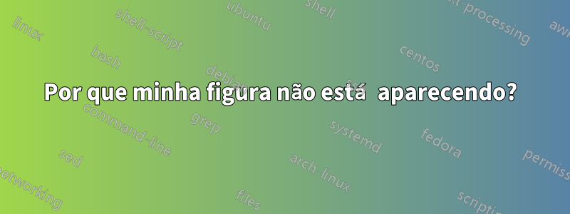 Por que minha figura não está aparecendo? 