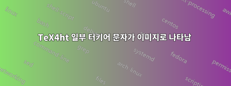 TeX4ht 일부 터키어 문자가 이미지로 나타남