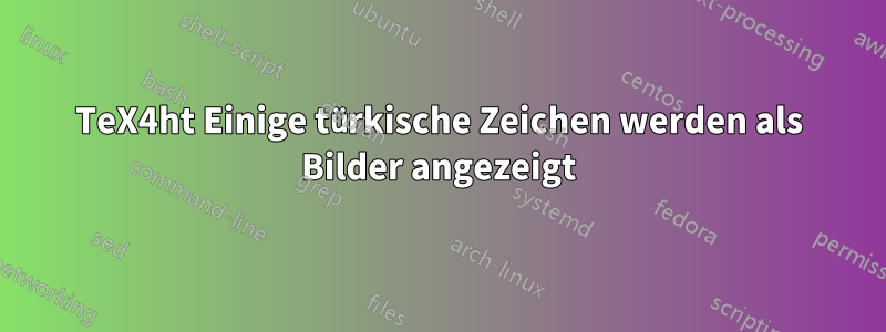 TeX4ht Einige türkische Zeichen werden als Bilder angezeigt