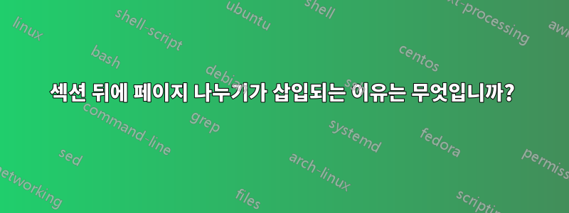 섹션 뒤에 페이지 나누기가 삽입되는 이유는 무엇입니까?