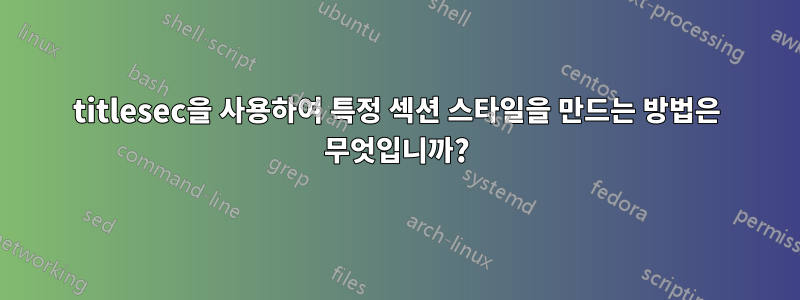 titlesec을 사용하여 특정 섹션 스타일을 만드는 방법은 무엇입니까?