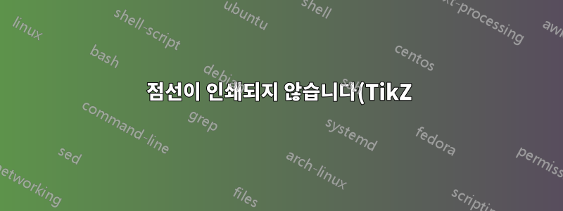 점선이 인쇄되지 않습니다(TikZ)