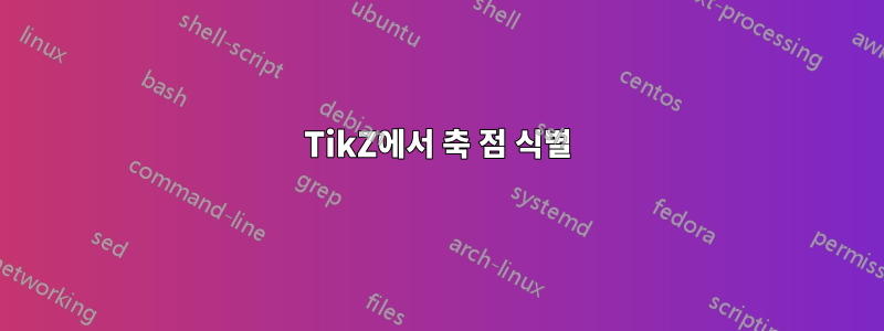 TikZ에서 축 점 식별