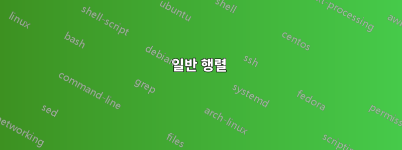 일반 행렬