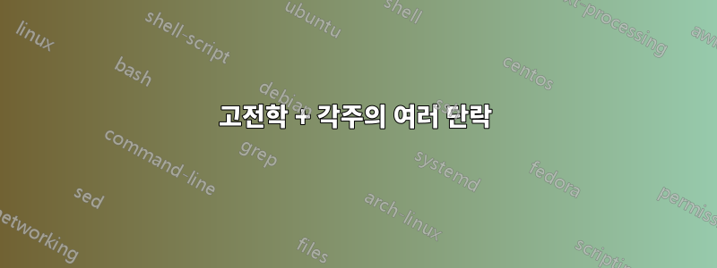 고전학 + 각주의 여러 단락