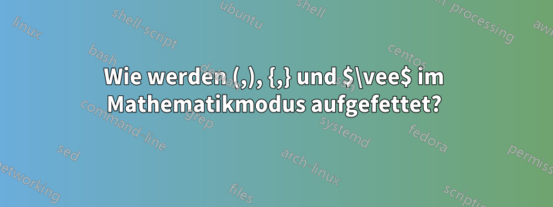 Wie werden (,), {,} und $\vee$ im Mathematikmodus aufgefettet?