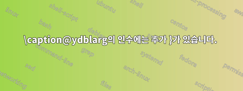 \caption@ydblarg의 인수에는 추가 }가 있습니다.