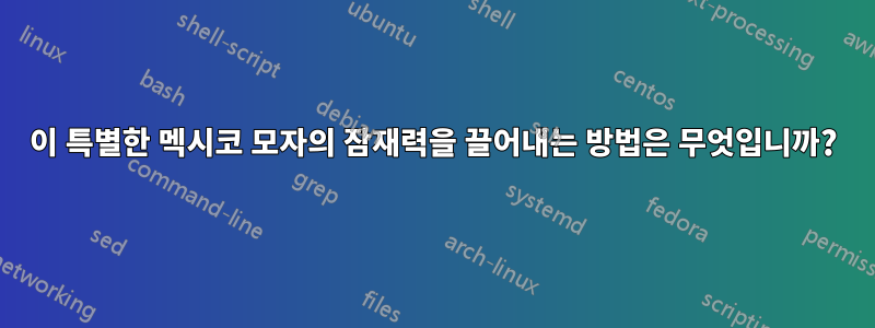 이 특별한 멕시코 모자의 잠재력을 끌어내는 방법은 무엇입니까?