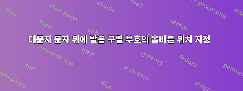 대문자 문자 위에 발음 구별 부호의 올바른 위치 지정 