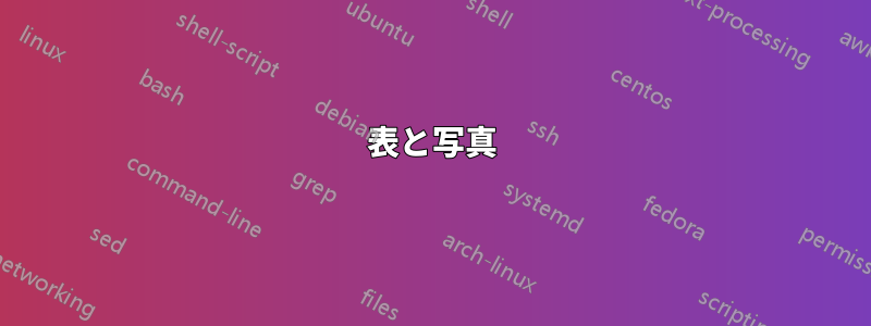 表と写真
