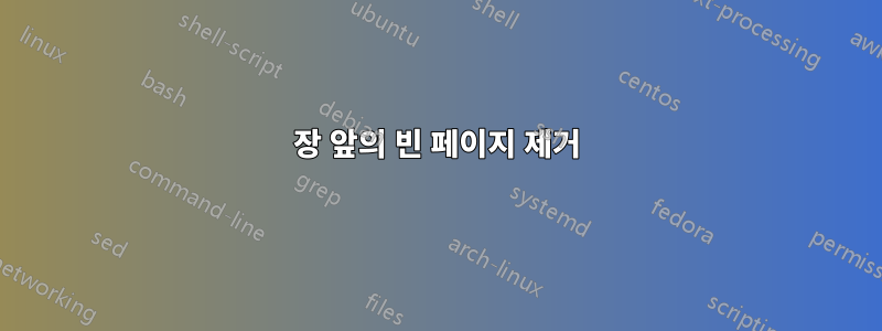 장 앞의 빈 페이지 제거