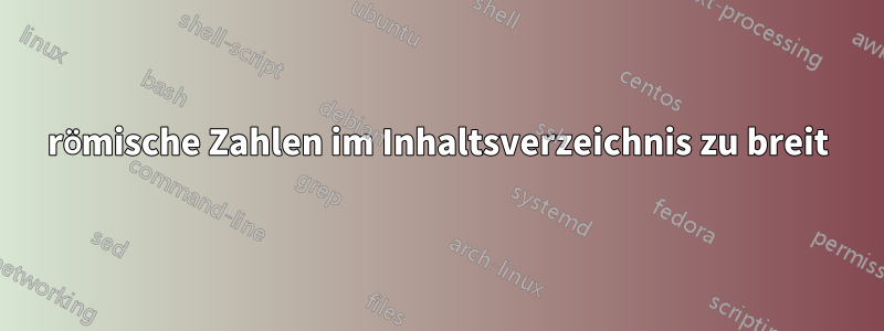 römische Zahlen im Inhaltsverzeichnis zu breit
