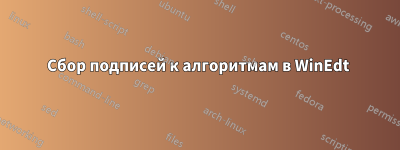 Сбор подписей к алгоритмам в WinEdt