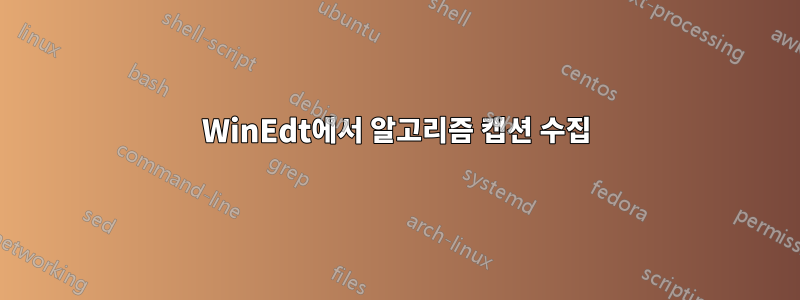 WinEdt에서 알고리즘 캡션 수집