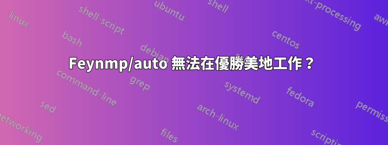 Feynmp/auto 無法在優勝美地工作？