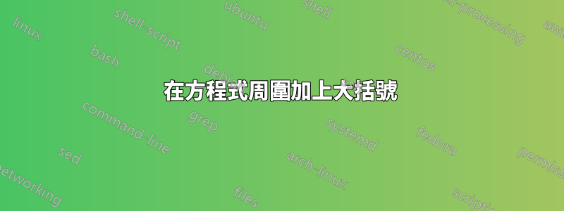 在方程式周圍加上大括號