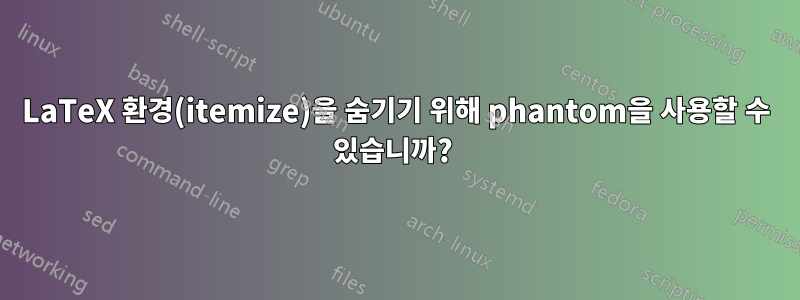 LaTeX 환경(itemize)을 숨기기 위해 phantom을 사용할 수 있습니까? 