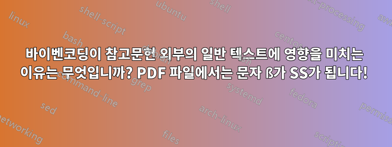 바이벤코딩이 참고문헌 외부의 일반 텍스트에 영향을 미치는 이유는 무엇입니까? PDF 파일에서는 문자 ß가 SS가 됩니다!