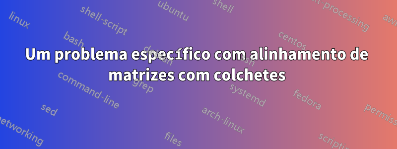 Um problema específico com alinhamento de matrizes com colchetes