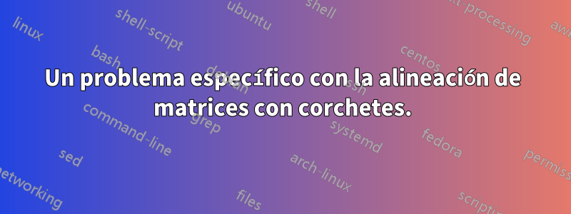 Un problema específico con la alineación de matrices con corchetes.