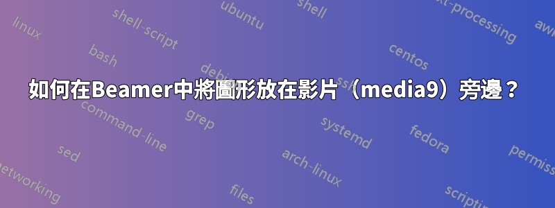 如何在Beamer中將圖形放在影片（media9）旁邊？