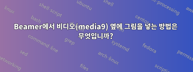 Beamer에서 비디오(media9) 옆에 그림을 넣는 방법은 무엇입니까?