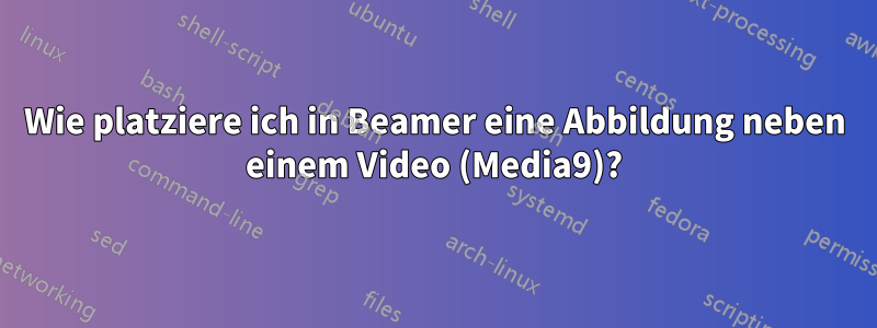 Wie platziere ich in Beamer eine Abbildung neben einem Video (Media9)?