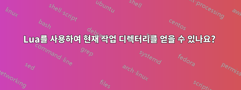 Lua를 사용하여 현재 작업 디렉터리를 얻을 수 있나요?