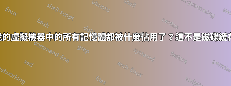 我的虛擬機器中的所有記憶體都被什麼佔用了？這不是磁碟緩存